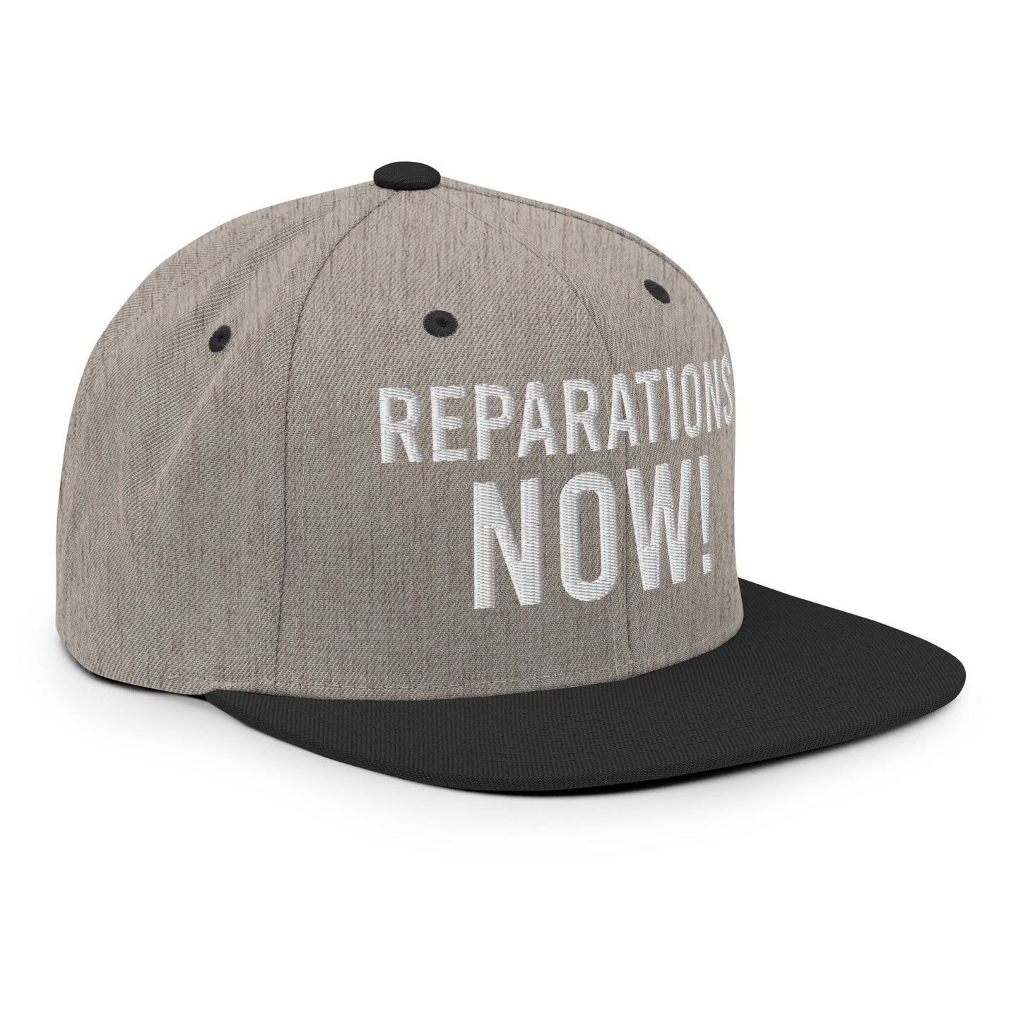 Reparations NOW Snapback