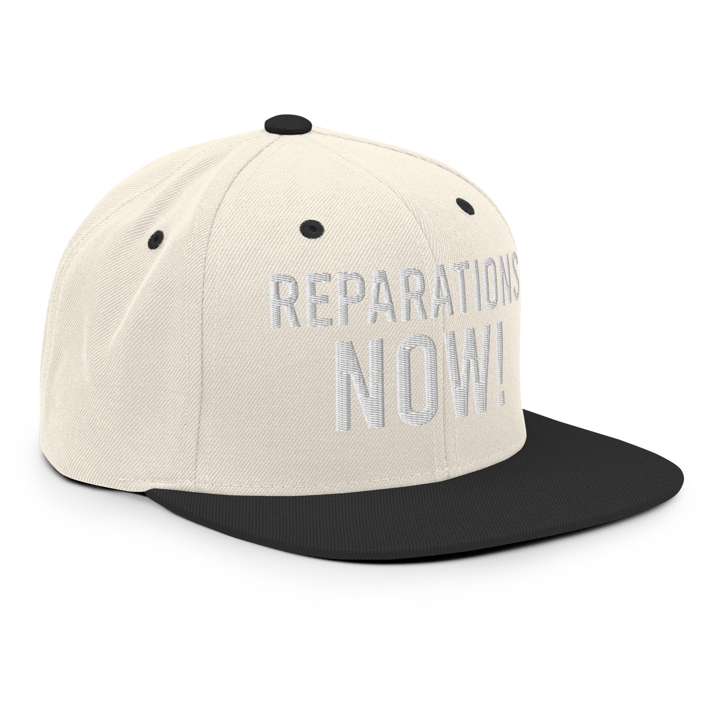 Reparations NOW Snapback